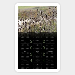 Wild Teasel • 2024 Year-at-a-glance Calendar Sticker